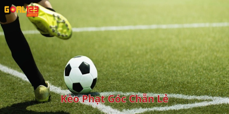 Lời khuyên vàng khi chơi Kèo Phạt Góc Chẵn Lẻ